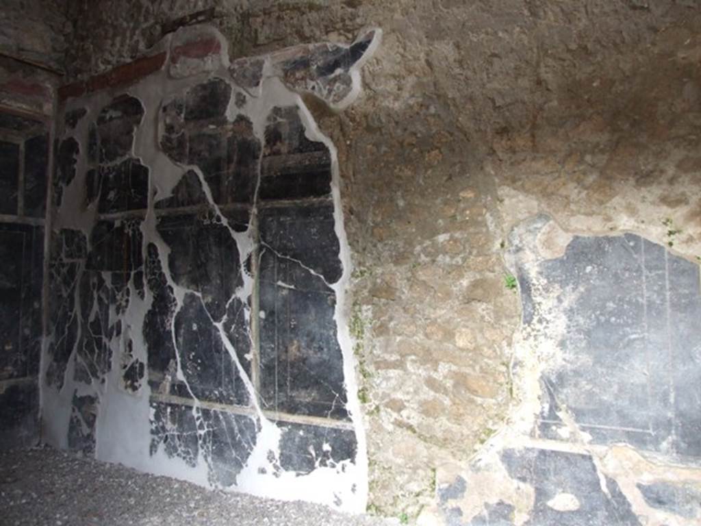 III.2.1 Pompeii. March 2009. Room 7. Oecus. East wall.
