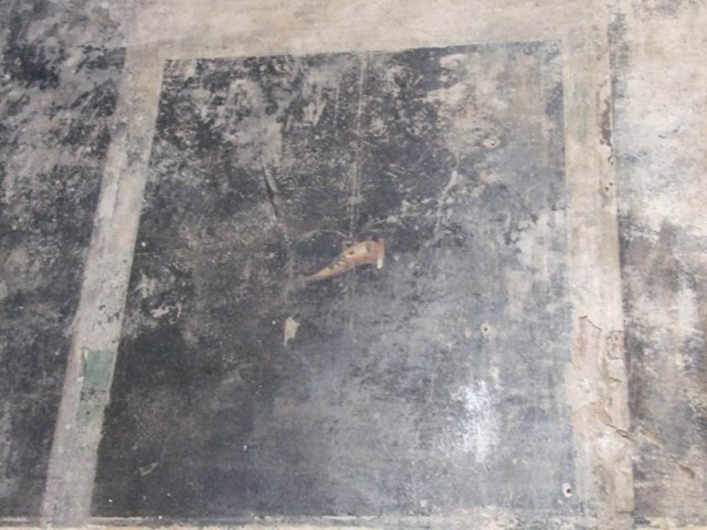III.2.1 Pompeii. March 2009. Room 7. Oecus. North wall. Detail from upper wall at west end.