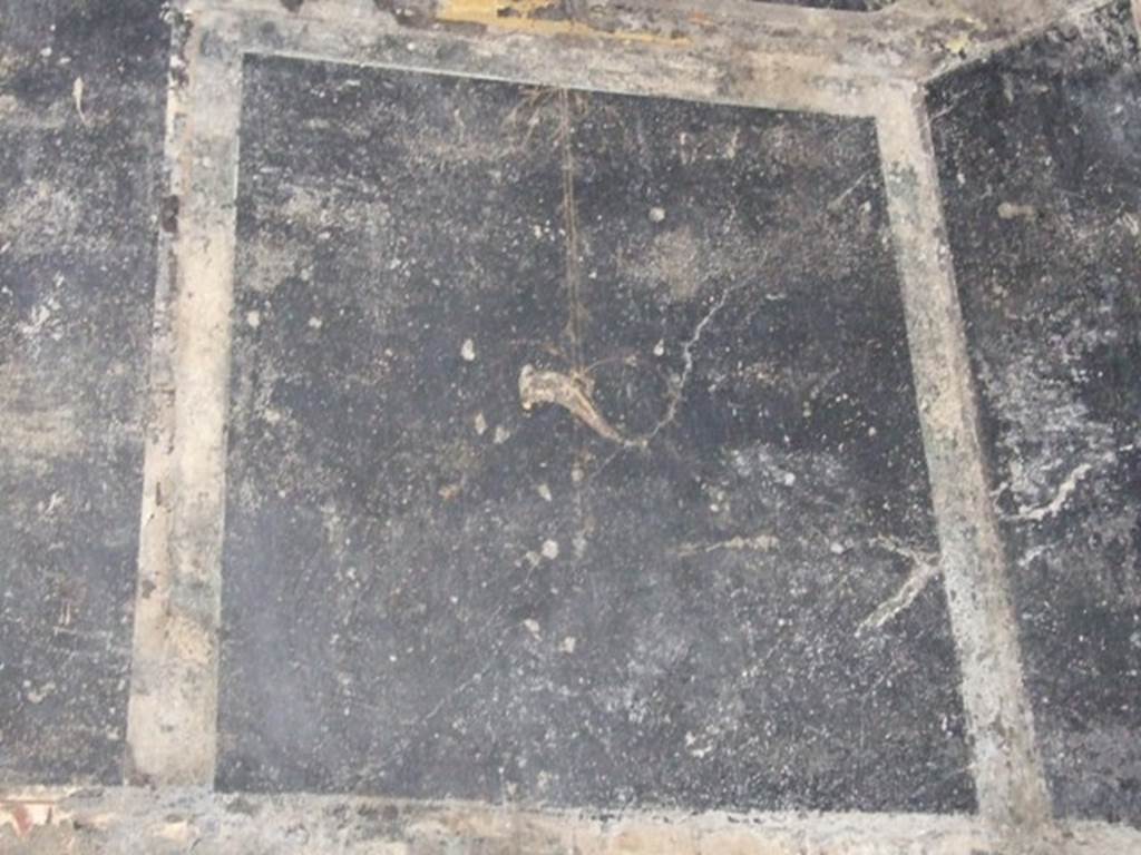 III.2.1 Pompeii. March 2009. Room 7. Oecus. North wall. Detail from upper wall at east end.