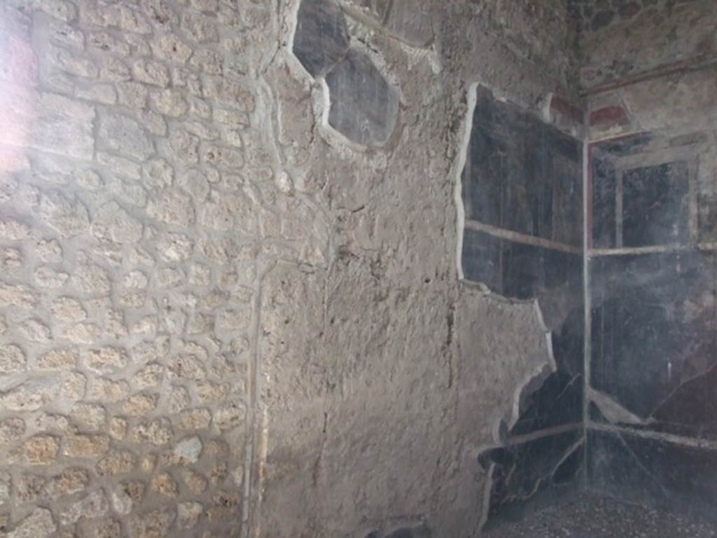 III.2.1 Pompeii. March 2009. Room 7. Oecus. West wall.