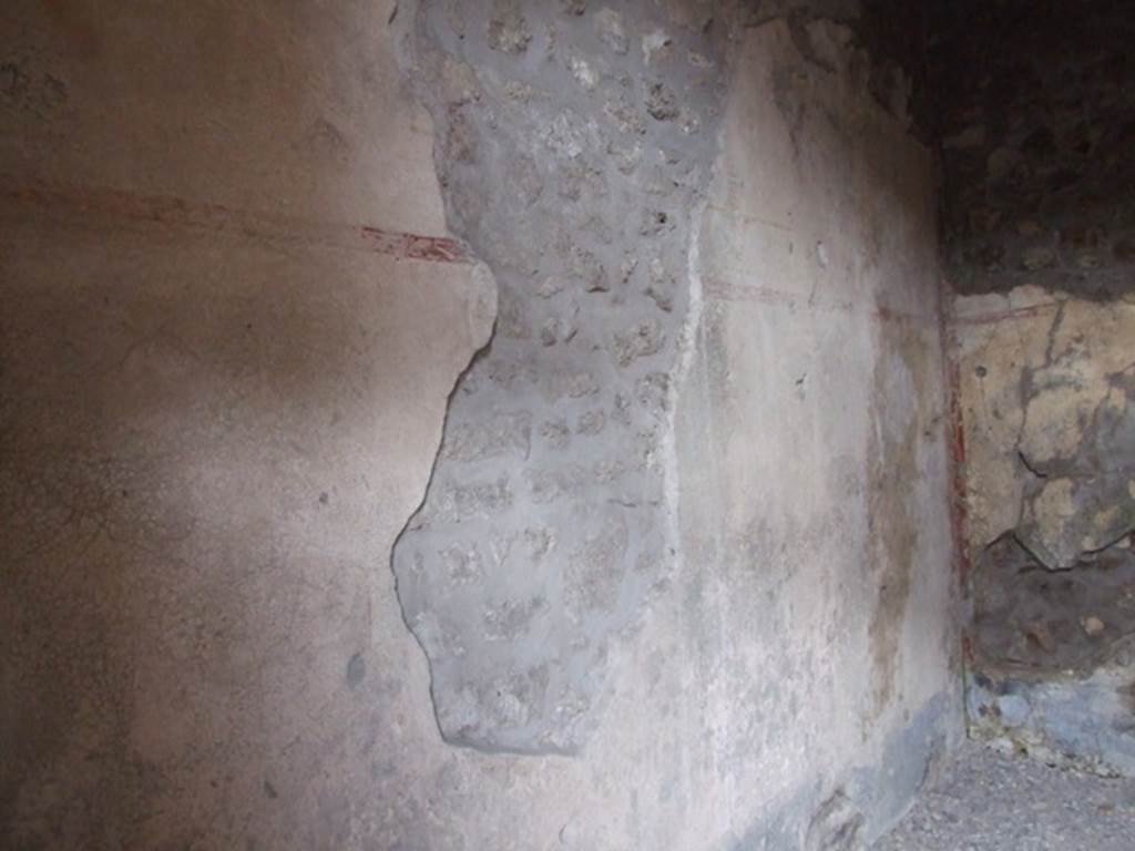 III.2.1 Pompeii. March 2009. Room 8. Cubiculum. North wall.