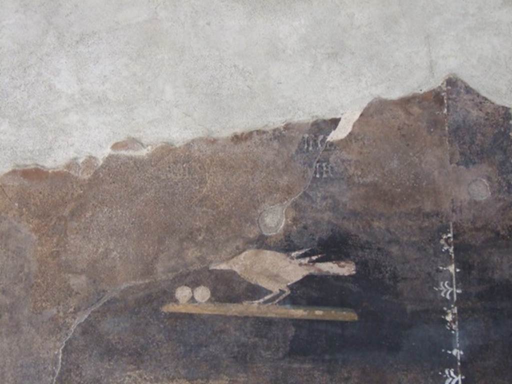 III.4.3 Pompeii. March 2009. Room 3. Second painted panel on south wall. The remains of one of the Latin moral verses, from which the house is named, is just visible and can be seen above the painted bird.
(Utere blandit)iis, odiosaque iurgia differ
Si potes, aut gressus ad tua tecta refer
See Della Corte, M., 1965. Case ed Abitanti di Pompei. Napoli: Fausto Fiorentino. (p.361. CIL IV 7698a-c)
(….) postpone your tiresome quarrels
If you can, or leave and take them home with you.
See Cooley, A. and M.G.L., 2004. Pompeii : A Sourcebook. London : Routledge. (p.73 CIL IV 7698a-c).