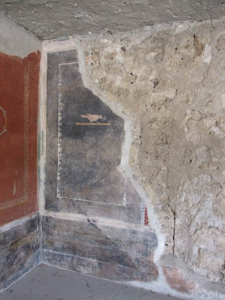 III.4.3 Pompeii. March 2009. Room 3. Triclinium. Remains of painted panel on west wall in south west corner. The area in the centre was partially demolished by the 1943 bombing and one of the central panels, with the third of the famous sayings, was lost.
Lascivos voltus et blandos aufer ocellos
Coniuge ab alterius : sit tibi in ore pudor.
See Della Corte, M., 1965. Case ed Abitanti di Pompei. Napoli: Fausto Fiorentino. (p.361. CIL IV 7698a-c)
