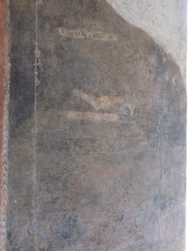 III.4.3 Pompeii. March 2009. Room 3. Remains of painted panels on north wall, on east side of window, and near doorway. The remains of one of the Latin moral verses, from which the house is named, is just visible and can be seen above the painted bird.
Abluat unda pedes, puer et detergeat udos.
Mappa torum velet, lintea nostra cave.
See Della Corte, M., 1965. Case ed Abitanti di Pompei. Napoli: Fausto Fiorentino. (p.361. CIL IV 7698a-c)
Let water wash your feet clean and a slave wipe them dry;
Let a cloth cover the couch, take care of our linens.
See Cooley, A. and M.G.L., 2004. Pompeii : A Sourcebook. London : Routledge. (p 73: CIL IV 7698a-c)