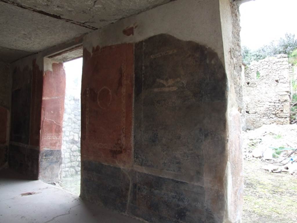 III.4.3 Pompeii. March 2009. Room 3. Remains of painted panels on north wall.
