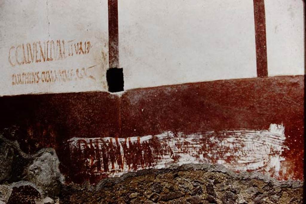 Vicolo di Ifigenia, east side, Pompeii. 1961. Exterior wall between entrances III.4.e, on left, and III.4.d, on right. 
Photo by Stanley A. Jashemski.
Source: The Wilhelmina and Stanley A. Jashemski archive in the University of Maryland Library, Special Collections (See collection page) and made available under the Creative Commons Attribution-Non Commercial License v.4. See Licence and use details.
J61f0556
The inscription on the left reads � C. CALVENTIVM II . V. R I . D
                                                                 PAMPHILVS . CVM NATALE ROG
We cannot read the large inscription, which looks as if it has been over-painted many times, but according to Eschebach, Giordano & Casale, p.281, had also read 
No.25: �Pamphilus rog Acestes� � No.26: �Pamphilus cum Natale rog� (above) � and on p.298, No. 106: �Ampliata, Florilla� � No. 108 & 110: �Pamphilus� � and on page 299, No.111: �Pamphilus�.
See Eschebach, L., 1993. Geb�udeverzeichnis und Stadtplan der antiken Stadt Pompeji. K�ln: B�hlau. (p.106-7)
