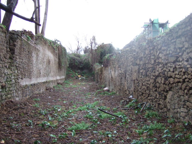 III.3 Pompeii. December 2006. Vicolo di Ifigenia, looking north. III.4.1.