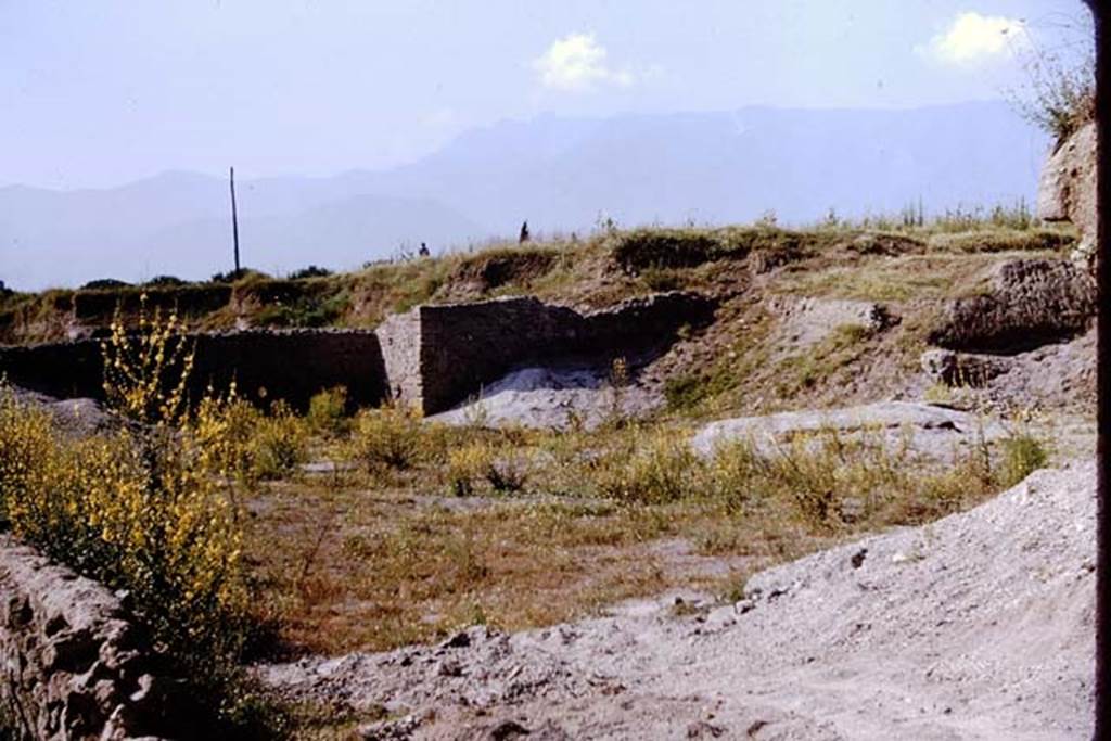 III.7 Pompeii. 1964. Looking south-west across III.7, the remains of the partly excavated triclinium are on the right. Photo by Stanley A. Jashemski.
Source: The Wilhelmina and Stanley A. Jashemski archive in the University of Maryland Library, Special Collections (See collection page) and made available under the Creative Commons Attribution-Non Commercial License v.4. See Licence and use details.
J64f2003