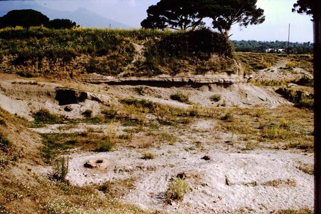 III.7 Pompeii. 1964. Looking towards the north side. Photo by Stanley A. Jashemski.
Source: The Wilhelmina and Stanley A. Jashemski archive in the University of Maryland Library, Special Collections (See collection page) and made available under the Creative Commons Attribution-Non Commercial License v.4. See Licence and use details.
J64f1999