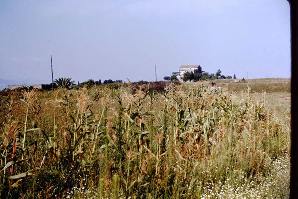 III.7 Pompeii. 1964. Looking west towards Casina dell’Aquila. Photo by Stanley A. Jashemski.
Source: The Wilhelmina and Stanley A. Jashemski archive in the University of Maryland Library, Special Collections (See collection page) and made available under the Creative Commons Attribution-Non Commercial License v.4. See Licence and use details.
J64f2002