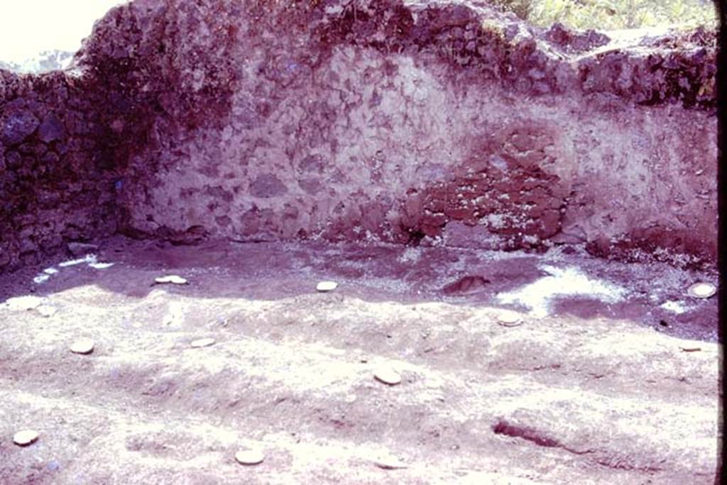 III.7 Pompeii. 1976. South-east corner, with furrows and root cavities. Photo by Stanley A. Jashemski.   
Source: The Wilhelmina and Stanley A. Jashemski archive in the University of Maryland Library, Special Collections (See collection page) and made available under the Creative Commons Attribution-Non Commercial License v.4. See Licence and use details. J76f0548
According to Wilhelmina, �Tree-root cavities were found along the edges of the vineyard near the east and south walls. The large tree near the east wall and the one near the south wall had the root structures of figs or possibly olives�.
See Jashemski, W. F., 1993. The Gardens of Pompeii, Volume II: Appendices. New York: Caratzas, (p.104).
