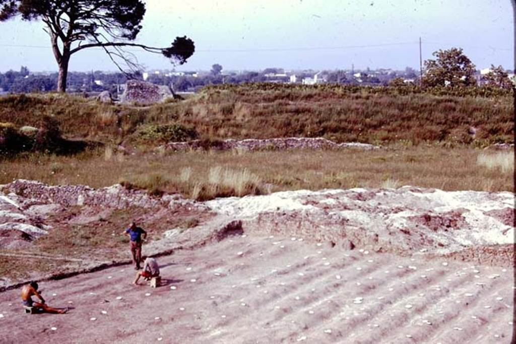 III.7 Pompeii. 1976. Looking north-east across site. Photo by Stanley A. Jashemski.   
Source: The Wilhelmina and Stanley A. Jashemski archive in the University of Maryland Library, Special Collections (See collection page) and made available under the Creative Commons Attribution-Non Commercial License v.4. See Licence and use details. J76f0493
