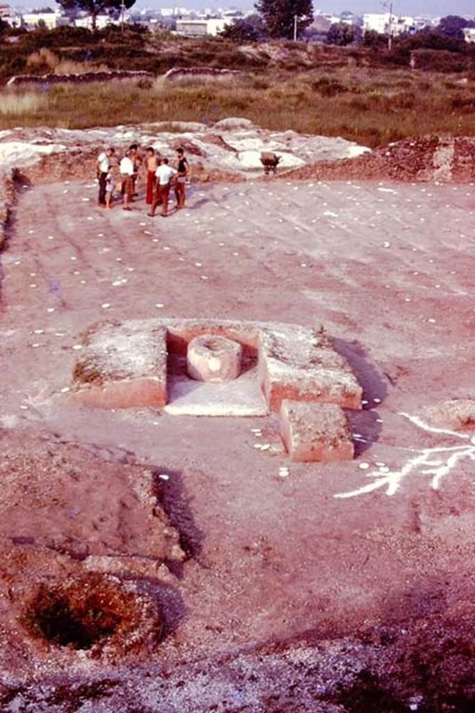 III.7 Pompeii. 1976. Looking east across triclinium. Photo by Stanley A. Jashemski.   
Source: The Wilhelmina and Stanley A. Jashemski archive in the University of Maryland Library, Special Collections (See collection page) and made available under the Creative Commons Attribution-Non Commercial License v.4. See Licence and use details.
J76f0530
According to Wilhelmina, �The tree to the south-west of the triclinium, with the long spreading roots reaching to the surface was clearly a poplar.�
See Jashemski, W. F., 1993. The Gardens of Pompeii, Volume II: Appendices. New York: Caratzas, (p.104).

