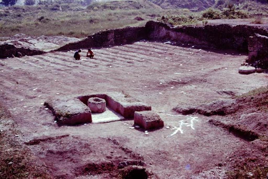 III.7 Pompeii. 1976. Looking south-east. Photo by Stanley A. Jashemski.   
Source: The Wilhelmina and Stanley A. Jashemski archive in the University of Maryland Library, Special Collections (See collection page) and made available under the Creative Commons Attribution-Non Commercial License v.4. See Licence and use details. J76f0546
According to Wilhelmina, �Found next to the triclinium, were the cavities of the post of the pergola, and root cavities of the vines that had shaded it.� To the west of the triclinium was a nursery plot with low masonry walls on the east and south, which was filled with an unusual black soil.  Here a broken planting pot with one hole in the bottom and three holes in its side, was found. It was sent to be restored.�
