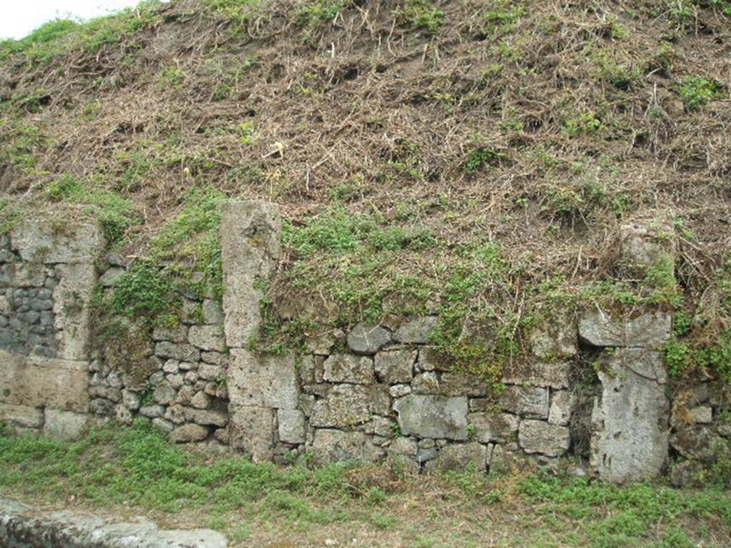 III.9.2 Pompeii (on left) and III.9.1 (on right). May 2005. Site of entrances. According to Liselotte Eschebach the left pilaster had a painting of a large peacock. She suggests this may be the painting identified by Fröhlich as F32. Fröhlich identifies a bird with a comb on its head. He says it is not a cockerel but may possibly be a Phoenix. See Eschebach, L., 1993. Gebäudeverzeichnis und Stadtplan der antiken Stadt Pompeji. Köln: Böhlau. (p. 112). See Fröhlich, T., 1991. Lararien und Fassadenbilder in den Vesuvstädten. Mainz: von Zabern. (p. 318, F32).