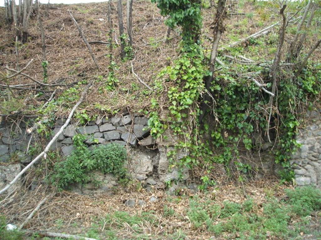 IV.4.f, (on left) and IV.4.g, (on right), Pompeii. May 2005. According to Liselotte Eschebach between f and g there was a Street Altar and niche, originally with a bench. She suggests this may be the street altar described by Fr�hlich in F24. Fr�hlich in turn refers to a drawing in Gell and Gandy. See Eschebach, L., 1993. Geb�udeverzeichnis und Stadtplan der antiken Stadt Pompeji. K�ln: B�hlau. See Fr�hlich, T., 1991. Lararien und Fassadenbilder in den Vesuvst�dten. Mainz: von Zabern. (p315, F24)
