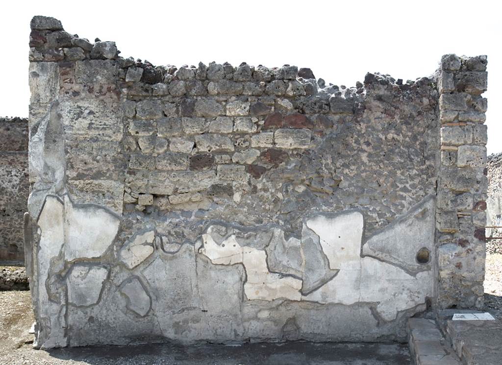 V.1.7 Pompeii. c.2005-7. Room 13, detail of west wall of tablinum. Photo by Hans Thorwid.
Photo courtesy of Swedish Pompeii Project.