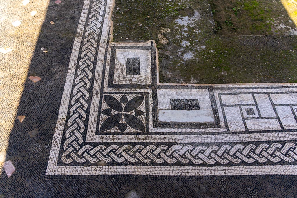 V.1.26 Pompeii. October 2023.
Room “b”, detail of mosaic in south-west corner of impluvium, looking north. Photo courtesy of Johannes Eber
