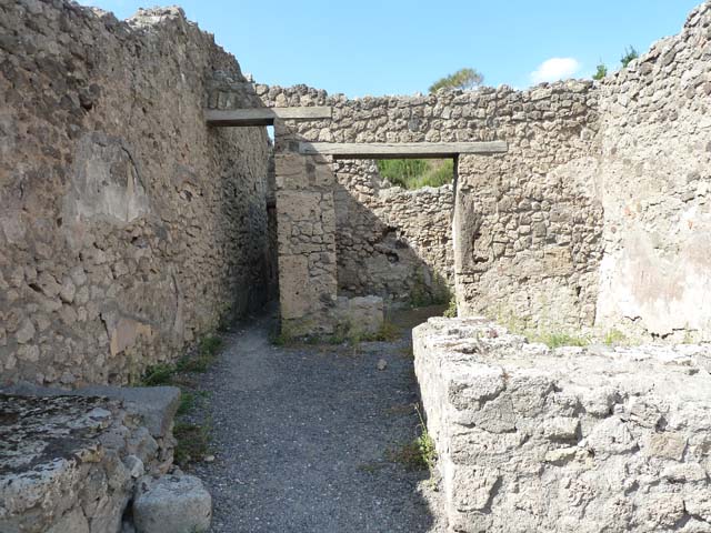 V.2.13 Pompeii, March 2009. Rear room, North wall.