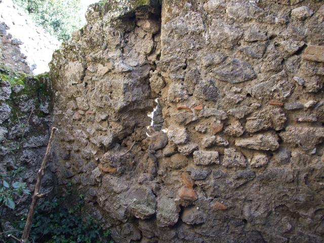 V.2.15 or un-numbered house?  Pompeii. December 2007.   Room 11c.  Peristyle looking north east into unexcavated area.
