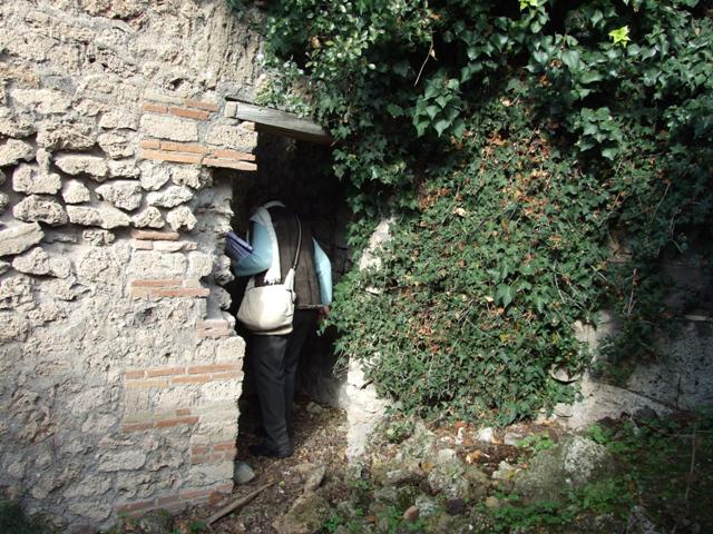 V.2.15 or un-numbered house?  Pompeii. December 2007.   Room 11d.  Niches.