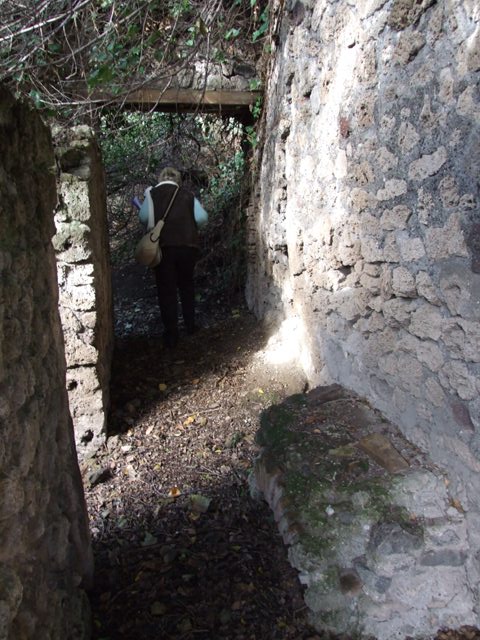 V.2.15 or un-numbered house? Pompeii. December 2007.    Room 11d.  
Arched niche below rectangular niche
