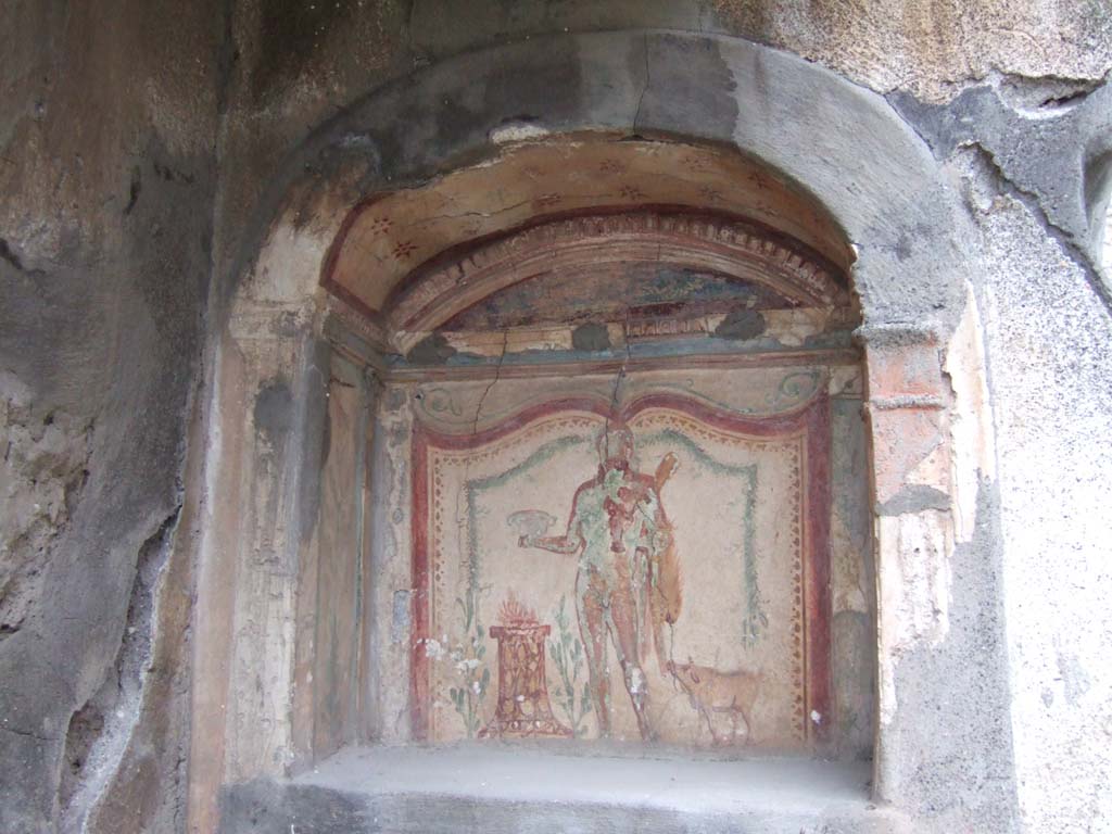V.2.h Pompeii. December 2005. Lararium niche in north wall of area ‘k’, found on 10th November 1891.
According to Boyce, behind the tablinum is a narrow space preceding the garden.
In its north wall, to the right of the door, was an arched niche below which was a stucco-covered ledge.
The vaulted ceiling was decorated with crude stars in red and green.
The figure of Hercules is in the centre, beneath two garlands, one yellow, and one green.
On his right stands a painted altar of yellowish marble with a blazing fire on the top, with a laurel bush on either side.
On his left was a hog, which was raising its snout to the edge of the lion skin.
This lararium was found with its equipment complete
a bronze statuette of Mercury with traces of gilding
a terracotta statuette of Minerva,
a bronze statuette representing a kneeling woman extending both hands before her body with both palms turned upward.
Other minor objects were found
a terracotta votive head of a Bacchante
a small circular terracotta altar
a terracotta lamp
an amulet in the form of a dolphin
two coins
an as of Germanicus
a sestertius of Nero.
See Boyce G. K., 1937. Corpus of the Lararia of Pompeii. Rome: MAAR 14. (p.37, no.108, Pl. 8,1)