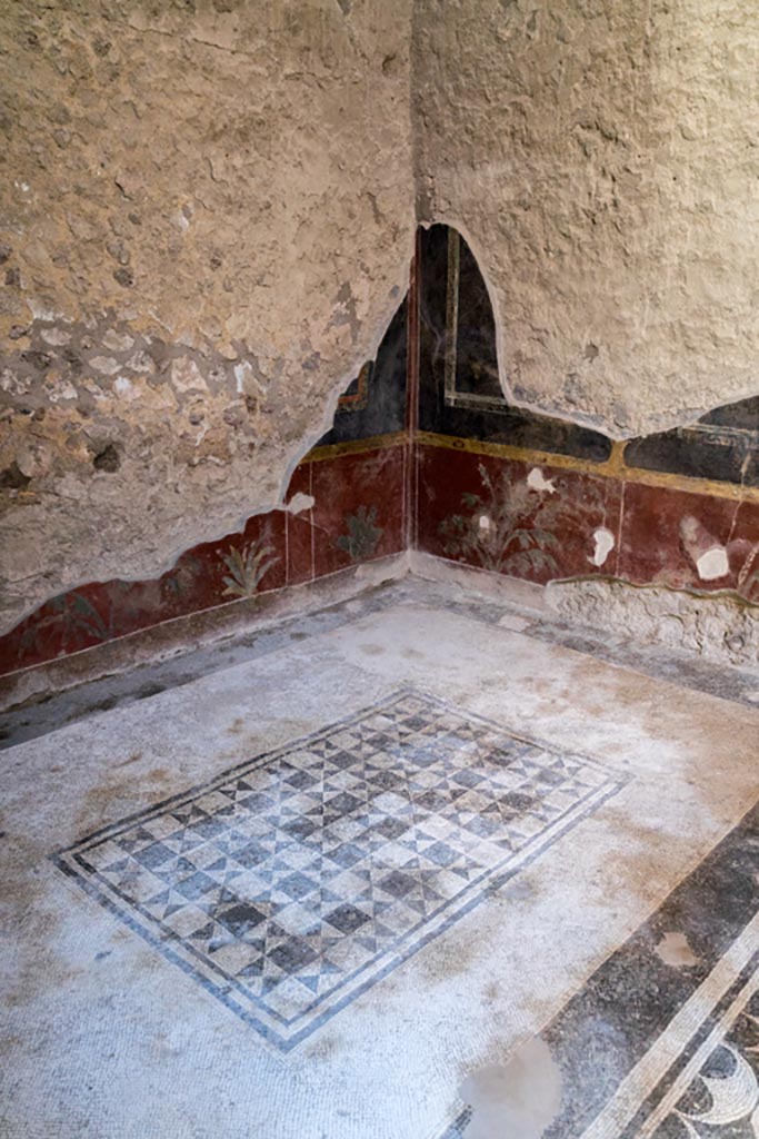 V.2.i Pompeii. March 2023.
Room 5, looking towards lower south-east corner. Photo courtesy of Johannes Eber.