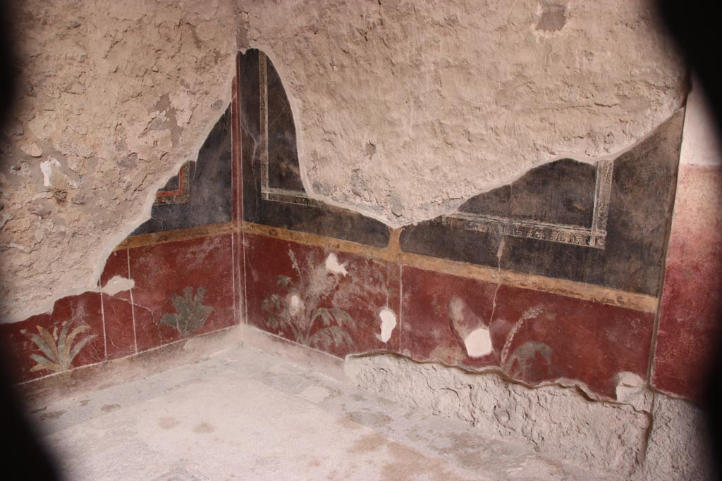 V.2.i Pompeii. October 2023. Room 5, south-east corner and south wall. Photo courtesy of Klaus Heese.