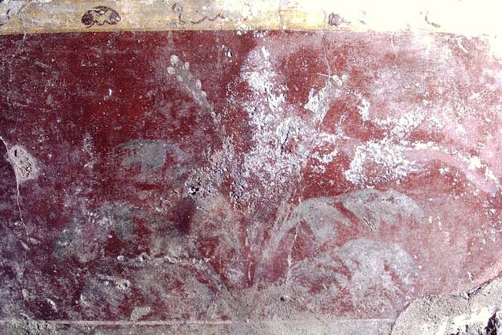V.2.i Pompeii, 1968. Room 5, detail of painted zoccolo from east end of south wall of ala. Photo by Stanley A. Jashemski.
Source: The Wilhelmina and Stanley A. Jashemski archive in the University of Maryland Library, Special Collections (See collection page) and made available under the Creative Commons Attribution-Non Commercial License v.4. See Licence and use details. J68f1560