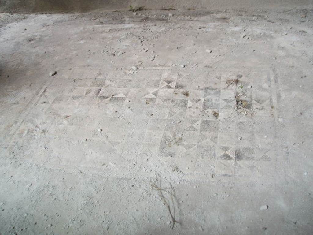 V.2.i Pompeii. December 2007. Room 5. Mosaic floor.