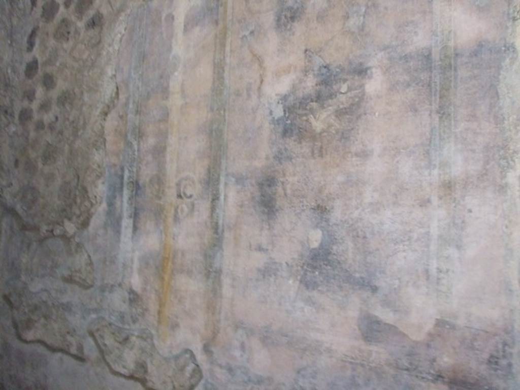 V.2.i Pompeii. December 2007. Room 8, painted plaster on north wall of ala on west side of atrium.