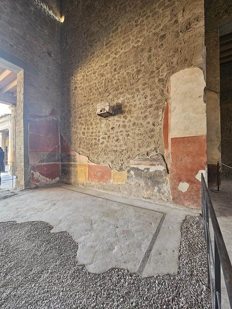 V.2.i Pompeii. November 2024.
Tablinum 7, looking south north along west wall. Photo courtesy of Annette Haug.