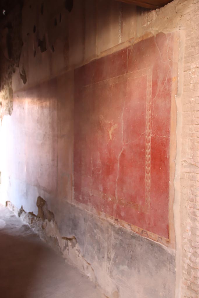 V.2.i Pompeii. October 2023.
Corridor 10, painted panel on west wall. Photo courtesy of Klaus Heese.