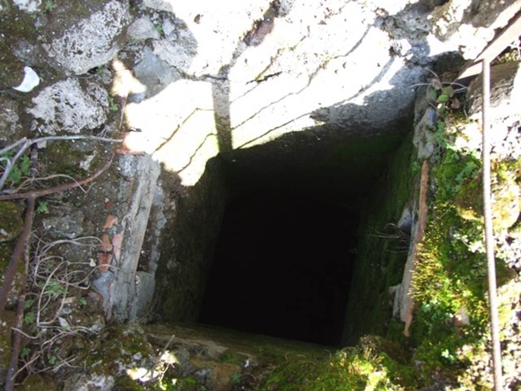 V.2.i Pompeii. March 2009. Room 12. Garden area. Drain or well on west side of latrine.