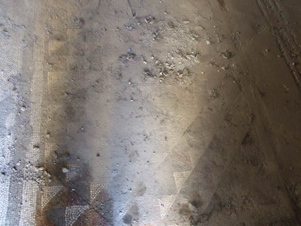 V.2.i Pompeii. December 2007. Room 14, mosaic floor in apodyterium or dressing room.