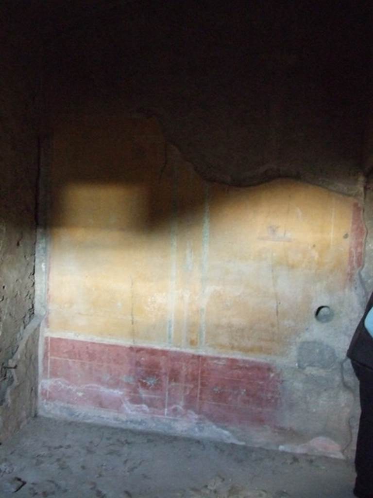 V.2.i Pompeii. December 2007. Room 15. Tepidarium.