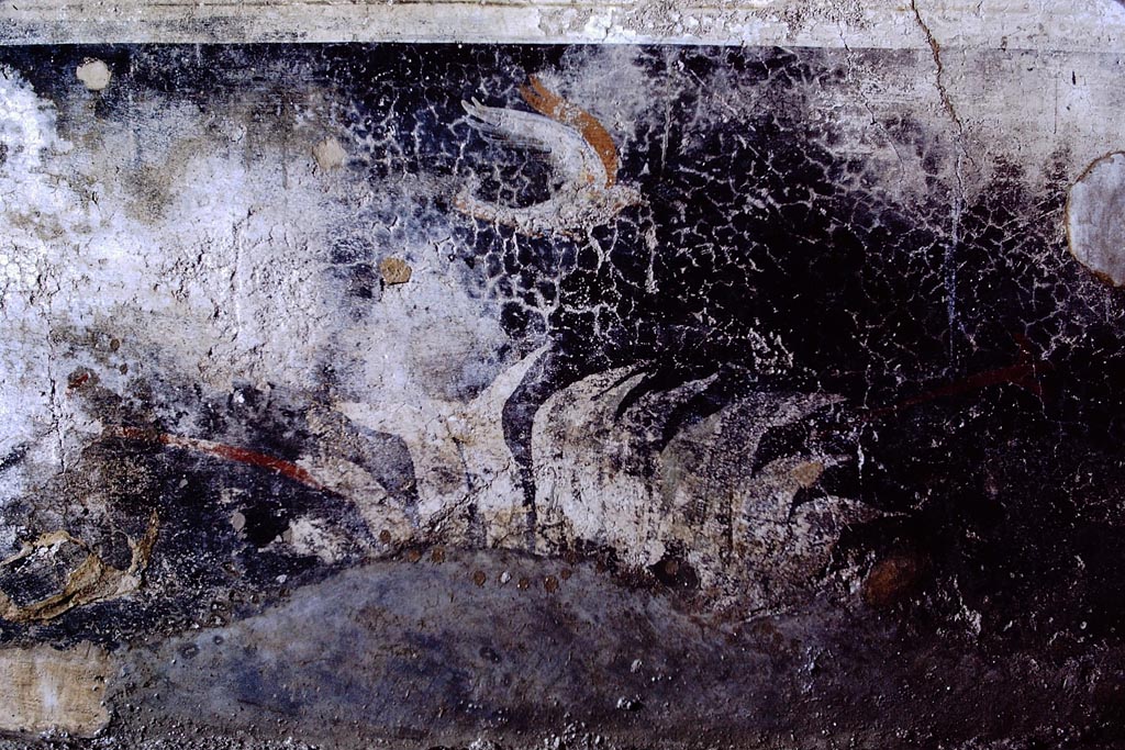 V.2.1 Pompeii, 1968.
Room 17, black zoccolo panel with plant and bird in flight towards the right, from west end of south wall of anteroom of oecus/triclinium.
Photo by Stanley A. Jashemski.
Source: The Wilhelmina and Stanley A. Jashemski archive in the University of Maryland Library, Special Collections (See collection page) and made available under the Creative Commons Attribution-Non-Commercial License v.4. See Licence and use details.
J68f1556