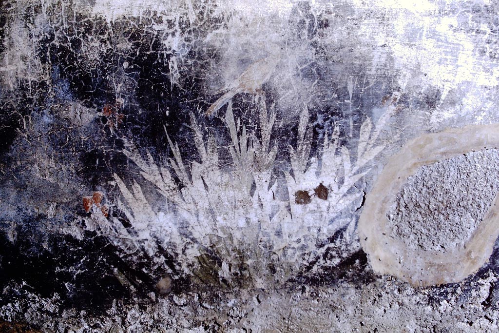 V.2.i Pompeii. 1968.
Room 17, black zoccolo painted with plants and bird from north wall of oecus/triclinium. Photo by Stanley A. Jashemski.
Source: The Wilhelmina and Stanley A. Jashemski archive in the University of Maryland Library, Special Collections (See collection page) and made available under the Creative Commons Attribution-Non-Commercial License v.4. See Licence and use details.
J68f1555