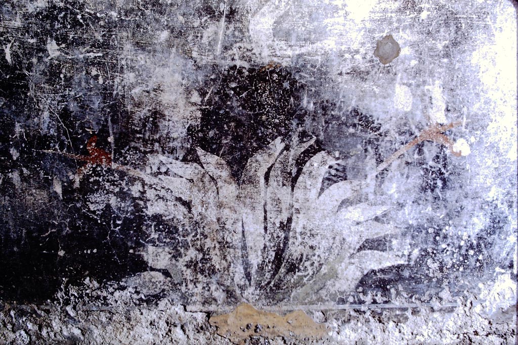 V.2.i Pompeii. 1968.
Room 17, black zoccolo painted with plant and bird from north wall of oecus/triclinium. Photo by Stanley A. Jashemski.
Source: The Wilhelmina and Stanley A. Jashemski archive in the University of Maryland Library, Special Collections (See collection page) and made available under the Creative Commons Attribution-Non-Commercial License v.4. See Licence and use details.
J68f1554