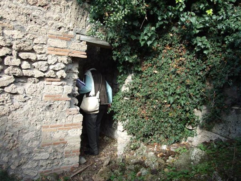 V.2 Pompeii. Casa di Orione. December 2007. Doorway, in north wall of room 10, leading to a corridor 11a, leading to another peristyle 11c (A19), at rear.
The Notizie degli Scavi refers to a passage leading to a second peristyle.
See Notizie degli Scavi di Antichità, 1896, page 439.

