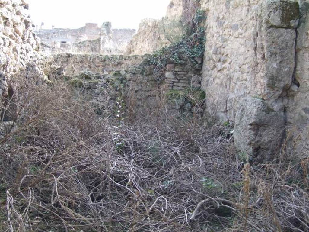V.2 Pompeii. Casa di Orione. December 2007. Room 11e, looking south.