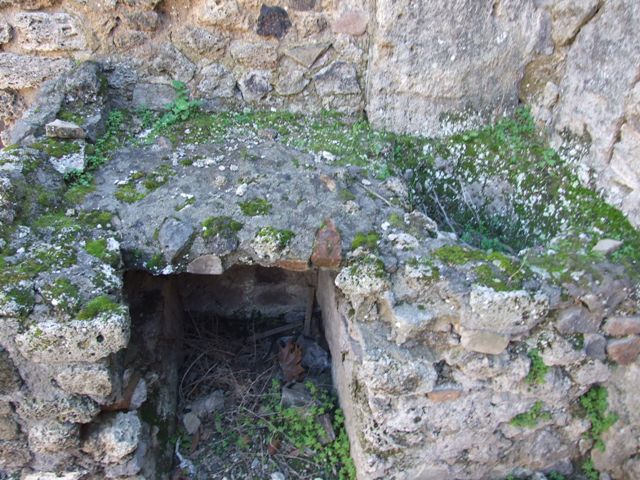 V.3.6 Pompeii. March 2009. Triclinium. West wall.