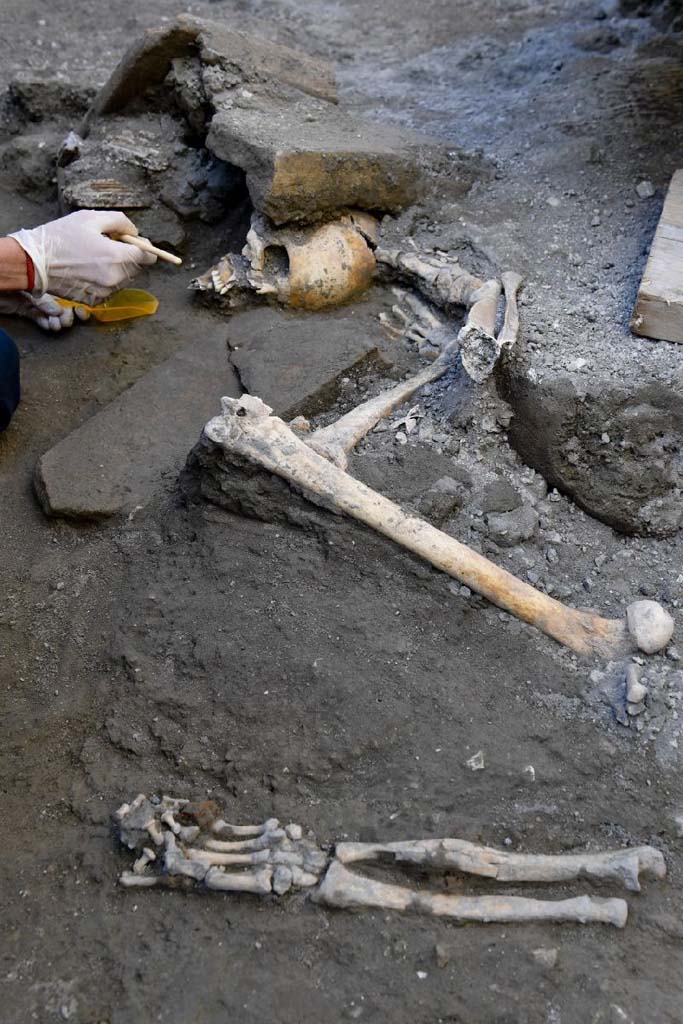 V.3 Pompeii. Casa del Giardino. October 2018. Ambiente 8. Scattered skeletal remains.
The skull of one of the victims, crushed by roof tiles, lies alongside the upper and lower limbs of another individual, still in situ, while the remains of a ring worn on the finger and other small hand held objects, spared from looting, resurfaced at a distance and not connected to the rest of the body.

Ambiente 8. Resti scheletrici sparsi.
il cranio di una delle vittime, schiacciato dalle tegole del tetto, giace accanto agli arti inferiori e superiori di un altro individuo, mentre resti di un anello indossato al dito e altri piccoli oggetti stretti tra le mani, sfuggiti al saccheggio del luogo, riaffiorano lontani e non in connessione con il resto del corpo.

Photograph © Parco Archeologico di Pompei.

