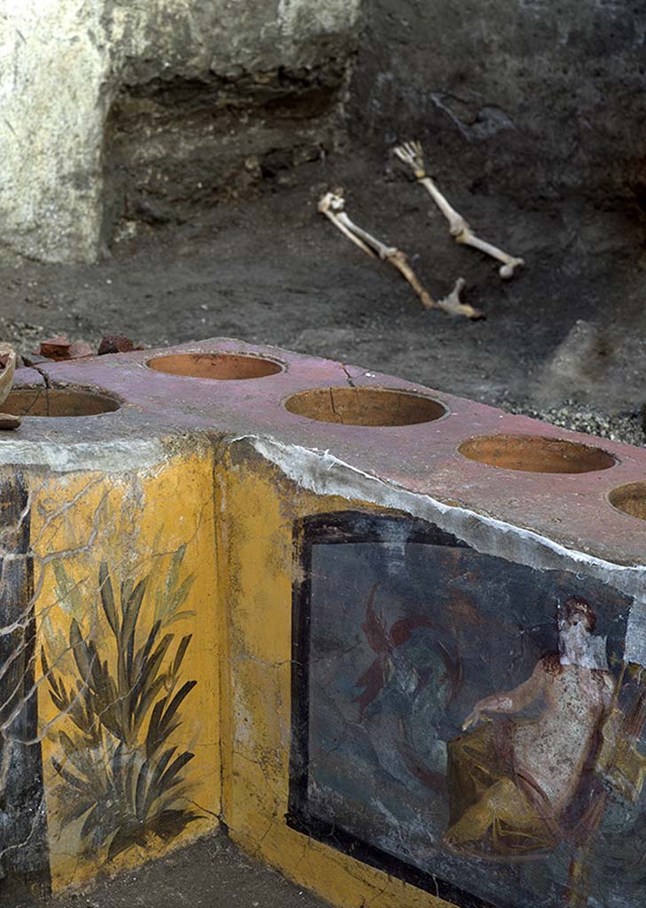 V.3 Pompeii, Thermopolium with painting of nereid. December 2020.
Inside the room - and particularly behind the counter where they were dragged by the first excavators - a significant number of human bones were found, belonging to a mature-senescent individual, of at least 50 years of age. An initial analysis made it possible to link these dispersed bones with what remained of an individual who was discovered in the innermost corner of the shop, and who, at the time the pyroclastic current arrived, was most likely on top of some kind of bed, as evidenced by the space set aside for storing the bed, and a series of nails and wood residues found under the body.

V.3 Pompei, Termopolio con dipinto di nereide e anfore. Dicembre 2020.
Erano presenti inoltre, all'interno della stanza - e in particolare dietro al bancone dove sono state trascinate dai primi scavatori- un buon numero di ossa umane pertinenti ad un individuo maturosenescente, di almeno 50 anni di età. Una prima analisi permette di associare queste ossa trascinate a ciò che resta di un individuo rinvenuto nell'angolo più interno della bottega, che verosimilmente al momento dell'arrivo della corrente piroclastica era posizionato al di sopra di un letto o una branda, come testimoniano il vano per l'alloggiamento del giaciglio e una serie di chiodi e residui di legno rinvenuti al di sotto del corpo.

Photo by Luigi Spina courtesy of Parco Archeologico di Pompei.
