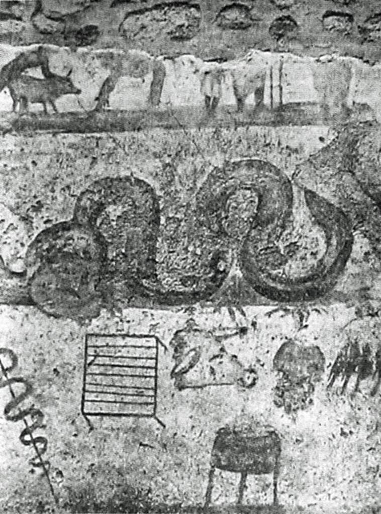V.4.3 Pompeii. 1901 photograph of lararium painting on east wall of kitchen.
According to Boyce, the entire east wall beside the hearth was covered with the lararium painting.
The painting had three zones.
On the top zone only the lower part of the figures remained. 
- Around a tripod are three figures. 
- To the right is the genius, to the left the tibicen and the camillus. 
- On each side stands a Lar. 
- To the left a naked man leads a pig which he holds by tail and ear.
In the middle zone 
- a serpent advances right, 
- presumably to an altar that must have been over the hearth but was missing when excavated.
In the lower zone are kitchen utensils, and food items:
- Two suspended sausages
- An eel on a spit
- A suspended grid iron
- A pigs head
- An indistinguishable object
- Several hanging birds.
- A cooking pot on a tripod.

See Notizie degli Scavi di Antichit�, 1901, p. 258-9, fig. 2.
See Boyce G. K., 1937. Corpus of the Lararia of Pompeii. Rome: MAAR 14.  (119b).