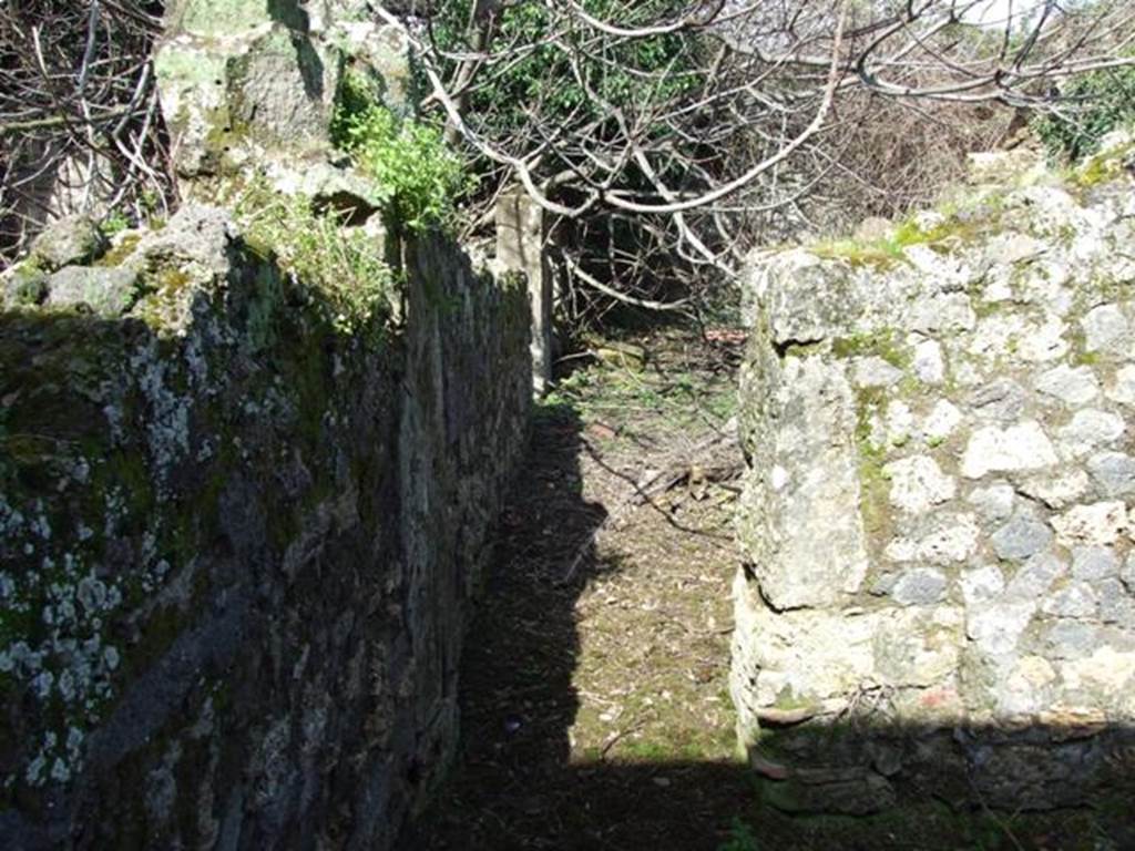V.4.13 Pompeii. March 2009. Looking north from triclinium �K�.