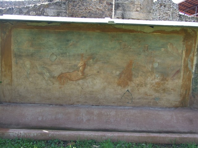 V.5.3 Pompeii. March 2009. Room 7, south corner of west side of peristyle.
The painting showed a boar being attacked by a dog. In the background a deer to the left, and a deer to the right, both fleeing. Also to the right, a bear on his rear legs being attacked by two dogs. In the background, another deer fleeing. See Not. Scavi, 1899, p.348, number 1.


