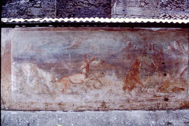 V.5.3 Pompeii. May 2005. Looking east from V.5.a entrance on Vicolo dei Gladiatori.