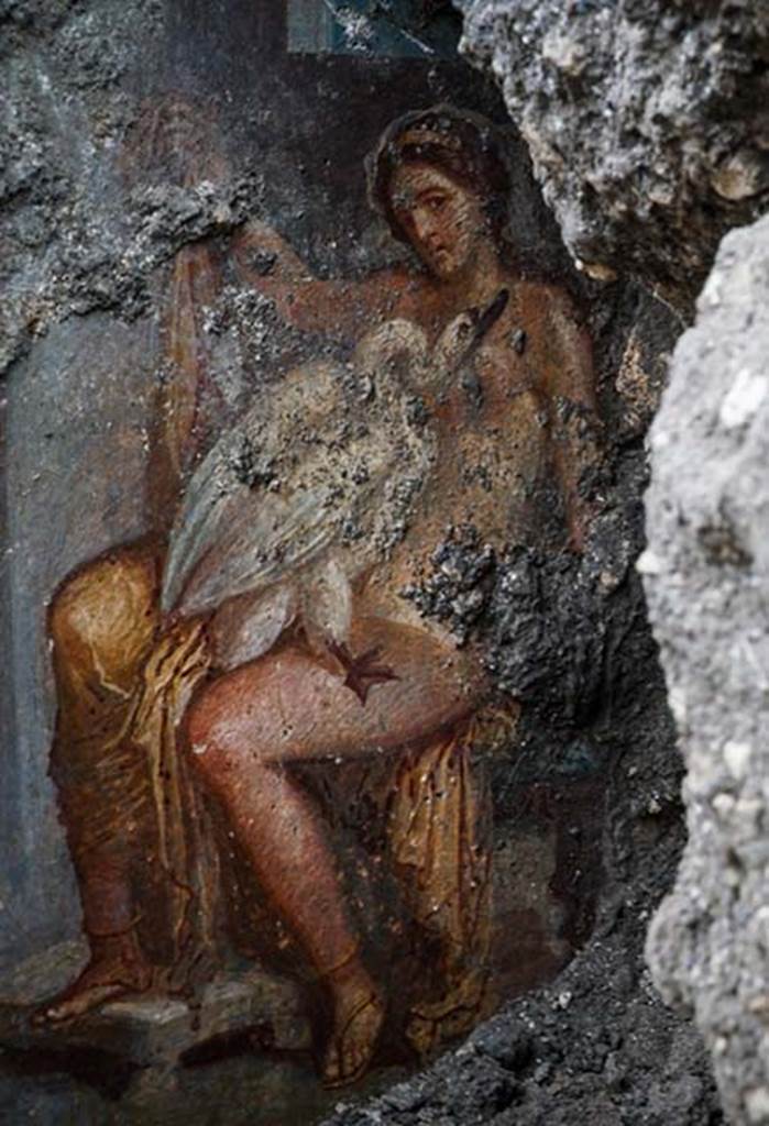 V.6.12 Pompeii. November 2018. Amb. 9. Cubiculum. Painting of Leda and the Swan (Zeus).
The scene - full of sensuality - depicts the union of Jupiter, transformed into a swan, and Leda, wife of King Tyndareus.
From her embraces, first with Jupiter and then Tyndareus, would be born the twins Castor and Pollux from an egg (the Dioscuri), Helen - the future wife of King Menelaus of Sparta and cause of the Trojan War - and Clytemnestra, later bride (and assassin) of King Agamemnon of Argos and brother to Menelaus.
La scena piena di sensualità rappresenta il congiungimento tra Giove, trasformatosi in cigno, e Leda, moglie di Tindaro re di Sparta. Dal doppio amplesso, prima con Giove e poi con Tindaro, nasceranno, fuoriuscendo da uova, i gemelli Castore e Polluce (i Dioscuri), Elena - futura moglie di Menelao re di Sparta e causa della guerra di Troia – e Clitennestra, poi sposa (e assassina) di Agamennone re di Argo e fratello di Menelao.
Detail from Photograph © Parco Archeologico di Pompei.
See Parco Archeologico di Pompeii web site